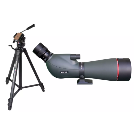 Focus Nordic Kit Viewmaster ED 80mm con ocular zoom  20-60x y trípode Velbon Videomate 638
